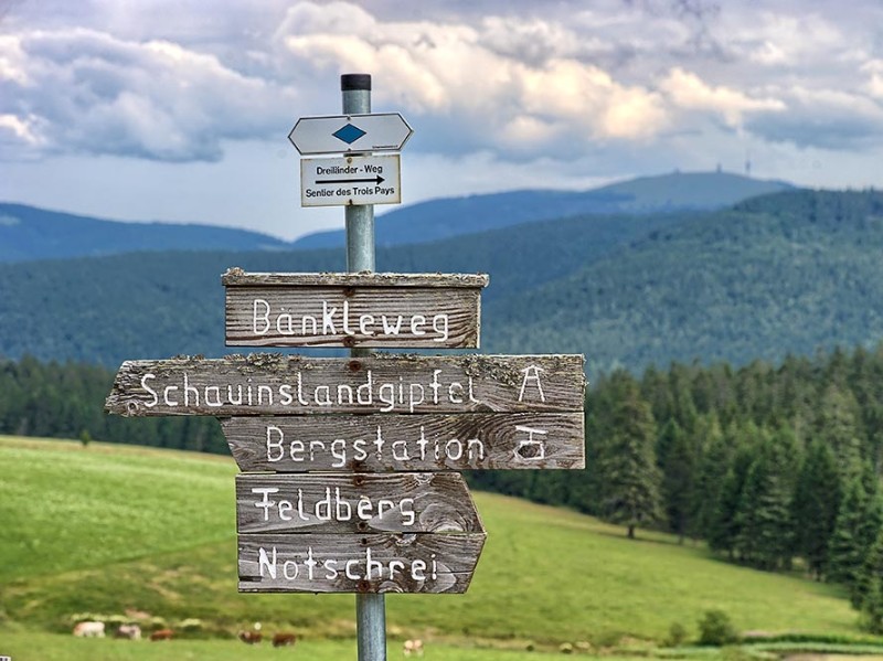 Wegweiser am Schauinsland