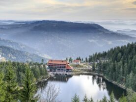 Blick zum Mummelsee